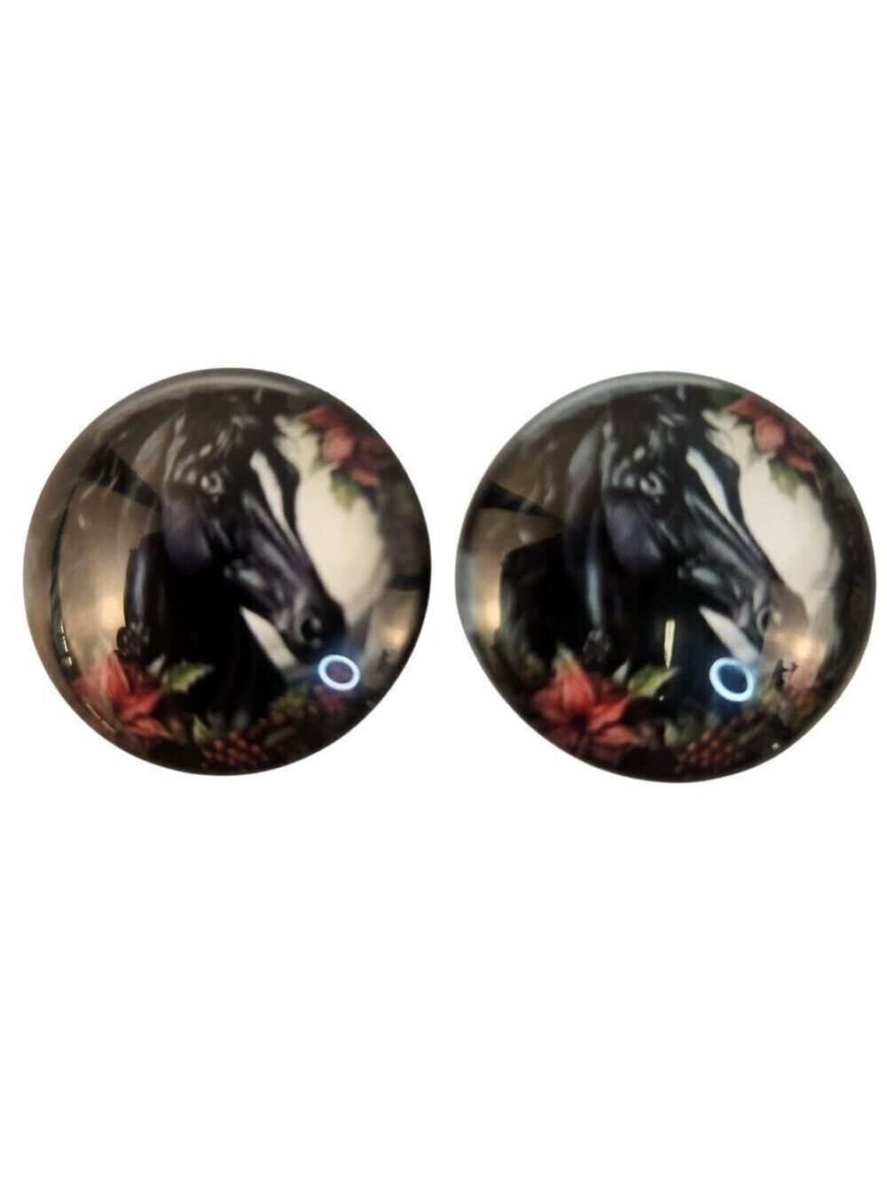 Set of 2 Black Horse Glass Cabochons 1 Inch Round, Floral Dome Craft Supply for